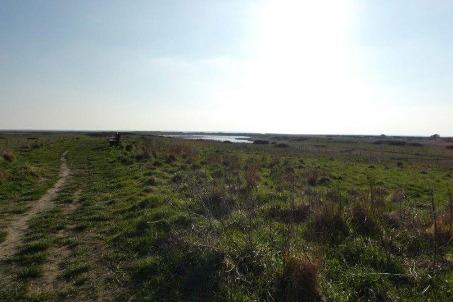 Landscape of RSPB Medmerry (credit RSPB Medmerry)