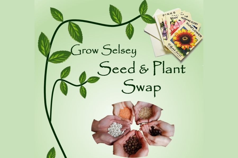 Grow Selsey seed and plant swap