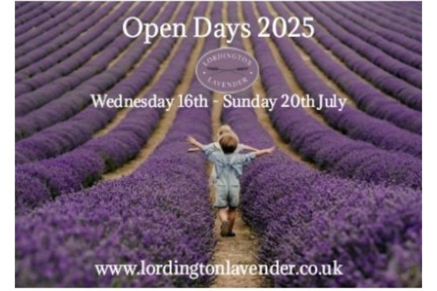 Lordington Lavender July events 