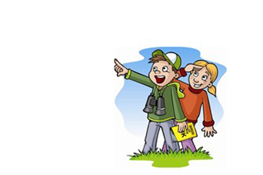 Children Discovery Days at RSPB Pagham Harbour